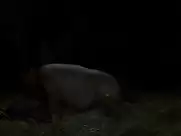 Hafsia Herzi - Le roi de levasion (2009) sex scenes