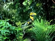 Katy Perry Sexy - Roar (2013) explicit mainstream cinema sex